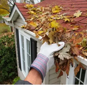 Gutter Cleaning